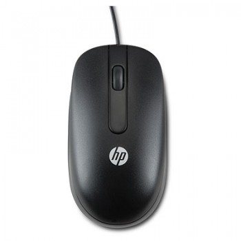 Мышь HP PS/2 Optical Scroll Mouse (QY775AA) QY775AA (ХПЕ) Мышь HP PS/2 Optical Scroll Mouse (QY775AA) QY775AA (ХПЕ)